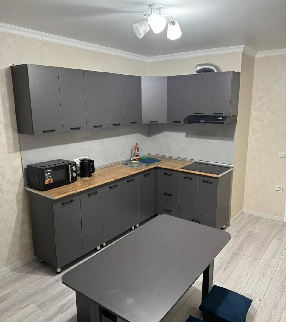 Уютная Однокомнатная Квартира С Видом На Горы Almaty Apartment